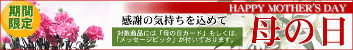 母の日特集