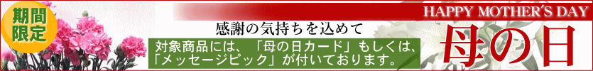 母の日特集