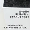 大きめサンスベリア 8号