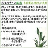 ストレリチア ノンリーフ 7号