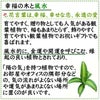 幸福の木と風水