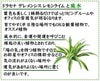 ドラセナ デレメンシス レモンライムと風水