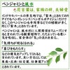 ベンジャミンと風水