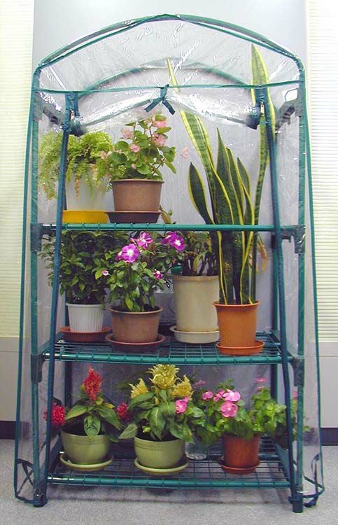 簡単設置の温室 通販 販売｜観葉植物のブルーミングスケープ