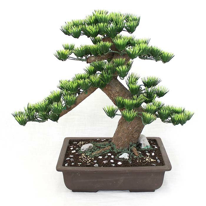 盆栽12 楽天市場】【工芸盆栽】長角 12号（デラックス）【Bonsai of imitation 盆栽