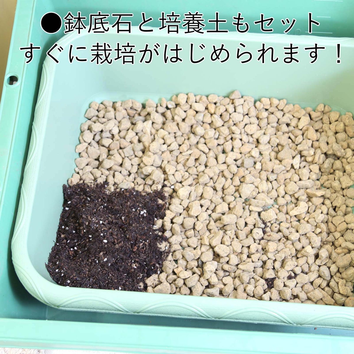 こだわり家庭菜園 栽培キット