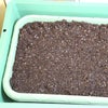 こだわり家庭菜園 栽培キット