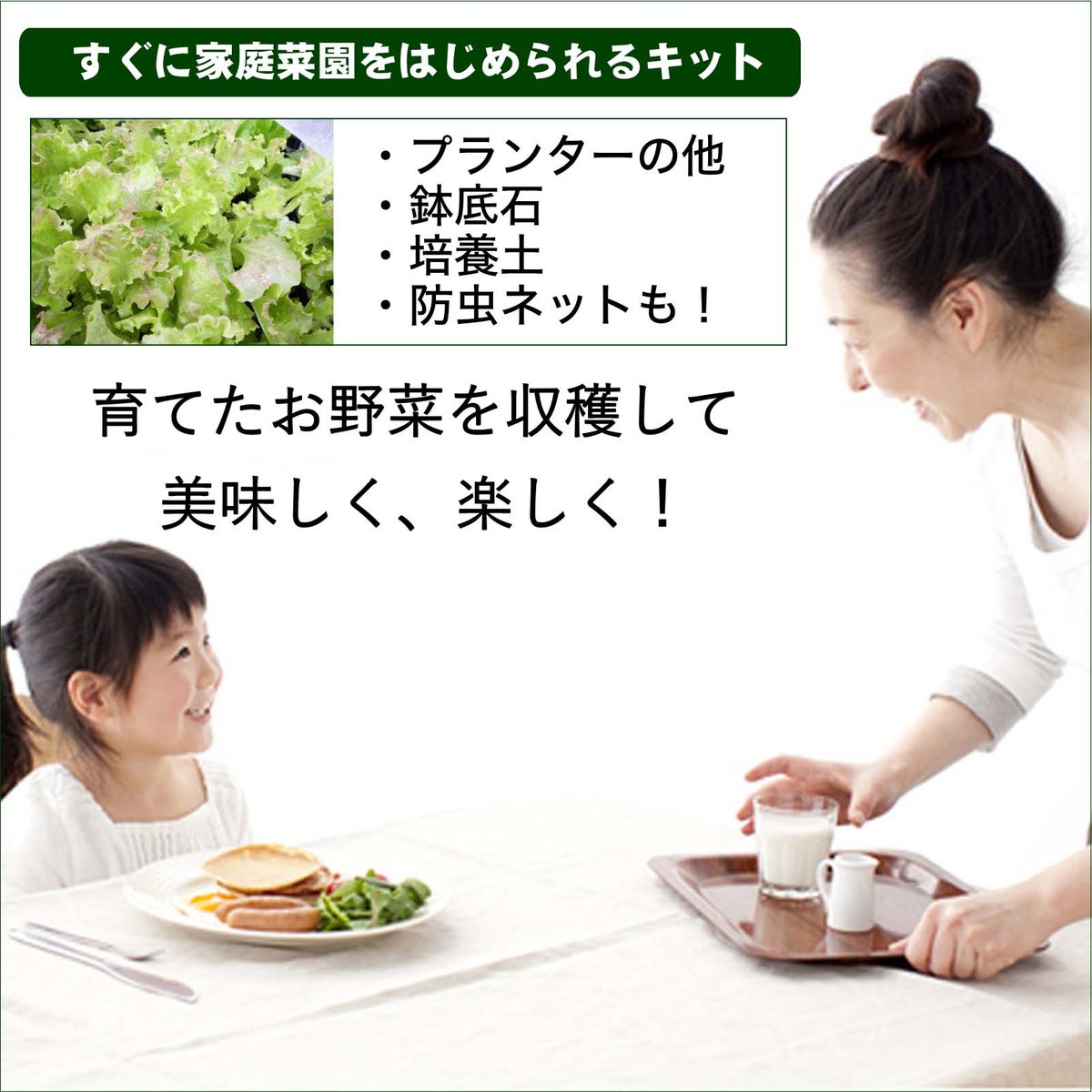 こだわり家庭菜園 栽培キット