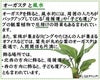オーガスタと風水