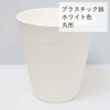 サンスベリア 5号