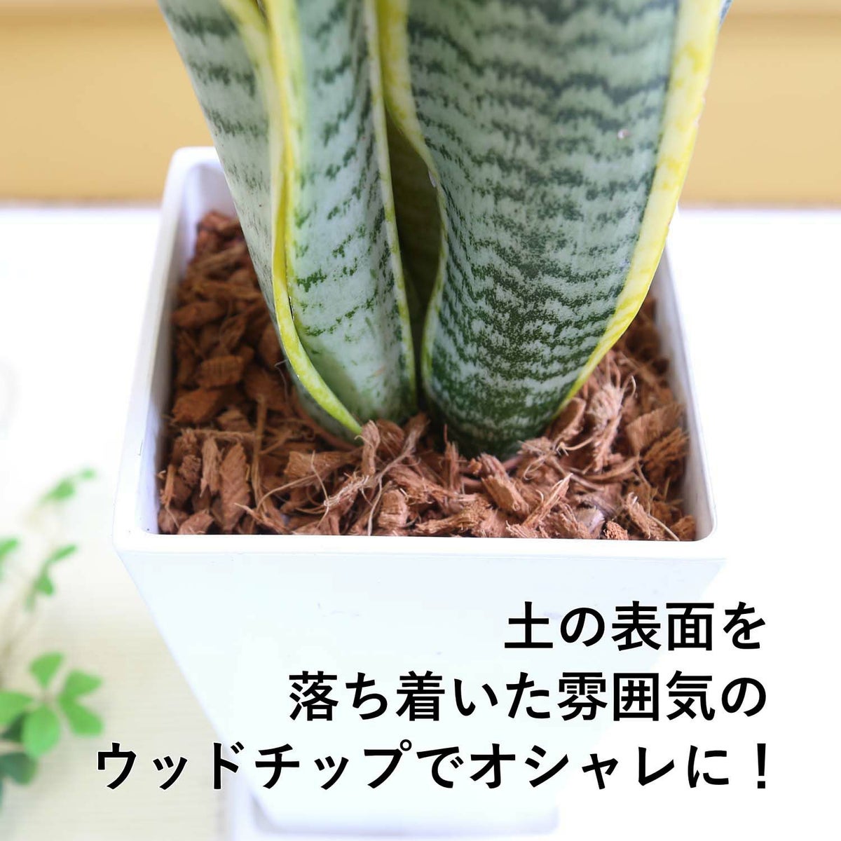 ウッドチップ