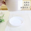 サンスベリア 5号 竹炭