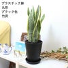 サンスベリア 丸形ブラック 竹炭