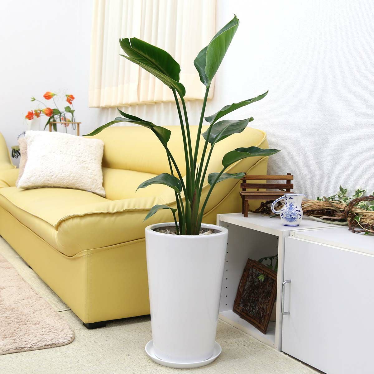 オーガスタ 8号 陶器鉢 丸形 通販 販売｜観葉植物のブルーミングスケープ