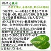 ポトスと風水