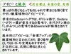 アイビーと風水