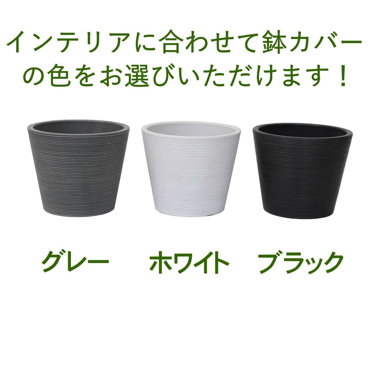 土を使わず清潔感もある観葉植物・選べる鉢カバー