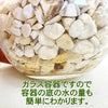 サンスベリア ゼオライト植え・ガラス鉢 丸形 ２鉢セット