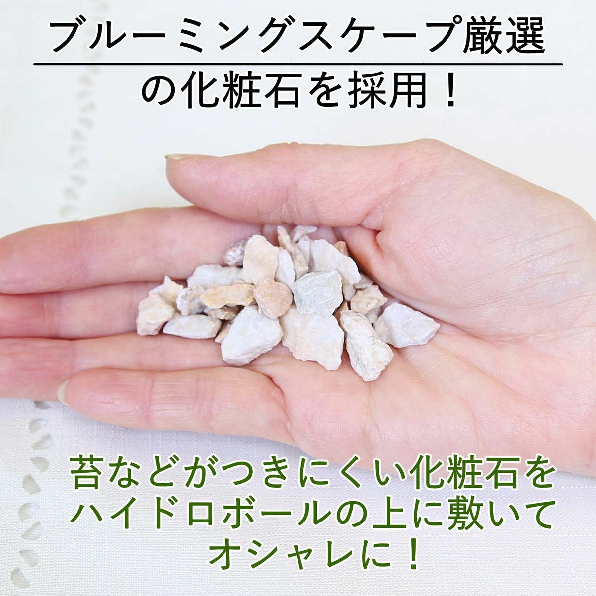 【ブルーミングスケープ】厳選の化粧石