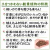 土を使わない観葉植物 ハイドロカルチャー