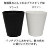 鉢の色をお選びいただけます。