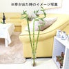 ミリオンバンブー（スパイラル 約70cm）3本セット