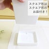 モンステラ・タイコンステレーション 5号