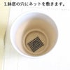 おもしろい樹形のガジュマル 4号 プチ栽培セット 