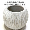 ホワイトグレー・セメント鉢 丸形