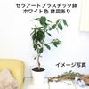 レモンの木 7号 セラアートプラスチック