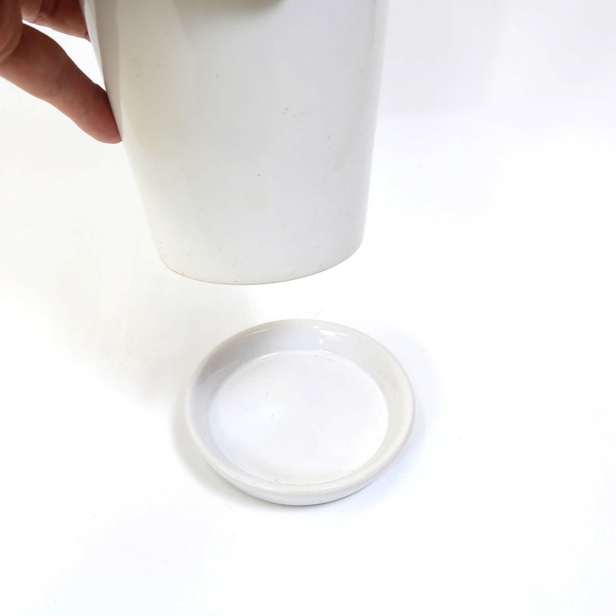 ナギの木 4号 陶器製のお皿付き